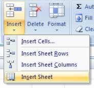 Inserting a new worksheet