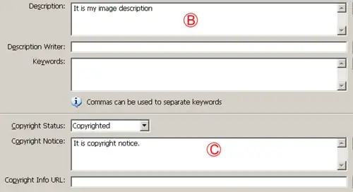 File info in Adobe ImageReady