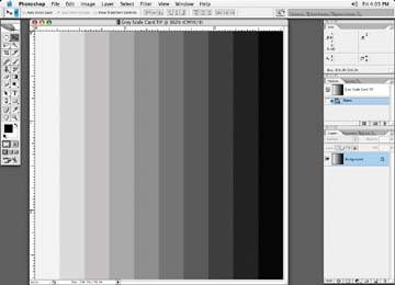Neutralizing Images : Adobe Photoshop