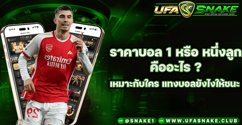 ราคาบอล 1 คืออะไร